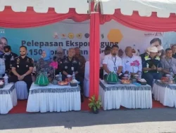 Perdana di Tahun 2023, 6.150 Ton Jagung Sulsel Diekspor ke Filipina Senilai Rp30,43 M