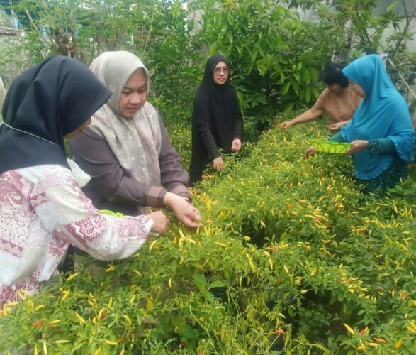 Lorong Wisata Gloria Panen Hortikultura, Kelurahan Bonto Makkio, Kecamatan Rappocini