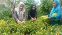 Lorong Wisata Gloria