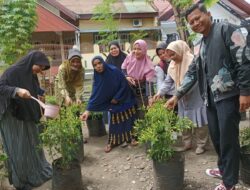 Jelajahi Pesona Lorong Wisata Batua Raya di Paropo, Budidaya Ikan Nila di Tanah Tidur yang Menakjubkan