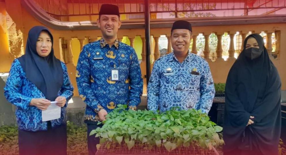 Budidaya Cabai, Solusi Pedas Atasi Inflasi di Kecamatan Bontoala