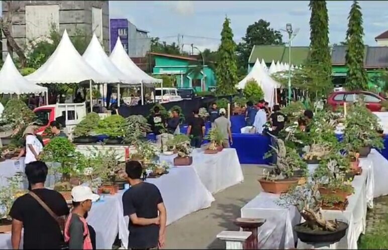 Pameran dan Kontes Bonsai di Barru