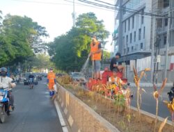 Pemerintah Kelurahan Tompo Balang Masif Menjaga Kebersihan Lingkungan dengan Serius