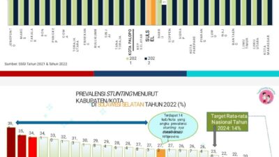 Menyingkap Strategi Penurunan Kasus Stunting di Kota Palopo