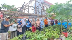 Lorong Wisata di Kelurahan Banta-bantaeng Masuk Nominasi ProKlim Lorong Wisata di Kelurahan Banta-bantaeng Masuk Nominasi ProKlim