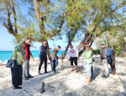 Pesona Keindahan Pulau Lanjukang Daya Tarik Kelurahan Barrang Caddi