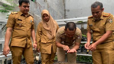 Dua Kelurahan di Kecamatan Bontoala Dapat Sokongan Benih Cabai