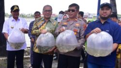 IMG-20240425-WA0033 IMG-20240425-WA0033