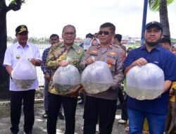 Tebar Benih Ikan Upaya Bantu Ekonomi Masyarakat