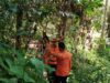 Lansia Dilaporkan Hilang Saat Melintasi Hutan Bambu