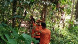 Lansia Dilaporkan Hilang Saat Melintasi Hutan Bambu