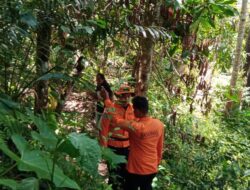 Lansia Dilaporkan Hilang Saat Melintasi Hutan Bambu