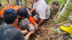 Lansia yang Dilaporkan Hilang di Hutan Bambu Berhasil Ditemukan Tim SAR