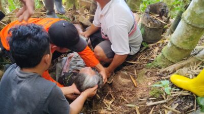 Lansia yang Dilaporkan Hilang di Hutan Bambu Berhasil Ditemukan Tim SAR