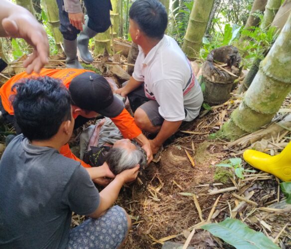 Lansia yang Dilaporkan Hilang di Hutan Bambu Berhasil Ditemukan Tim SAR