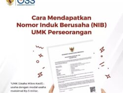 DPMPTSP Makassar Beberkan Cara Mendapatkan NIB untuk UMK Perseorangan