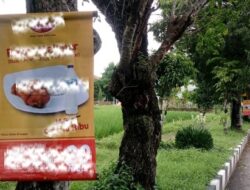 Pemkot Makassar Terapkan Aturan Baru, Spanduk dan Baliho Dilarang di Pohon