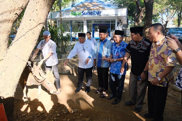 Pemprov Sulsel Siapkan 26 Ekor Sapi Kurban, Dorong Gunakan Daun & Anyaman Gantikan Plastik