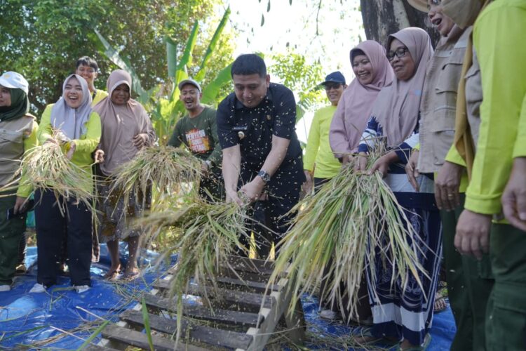 Pengurus RT dan RW Diminta Mampu Optimalkan Lahan Sempit untuk Pertanian