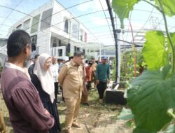 Dukung Program Munafri – Aliyah, Warga Bukit Baruga Luncurkan Gerakan Urban Farming