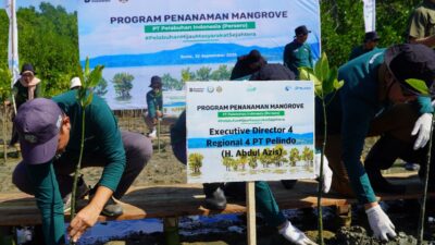 Peringati Hari Maritim Nasional 2025, Pelindo Regional 4 Kick Off Rehabilitasi Mangrove di Bone