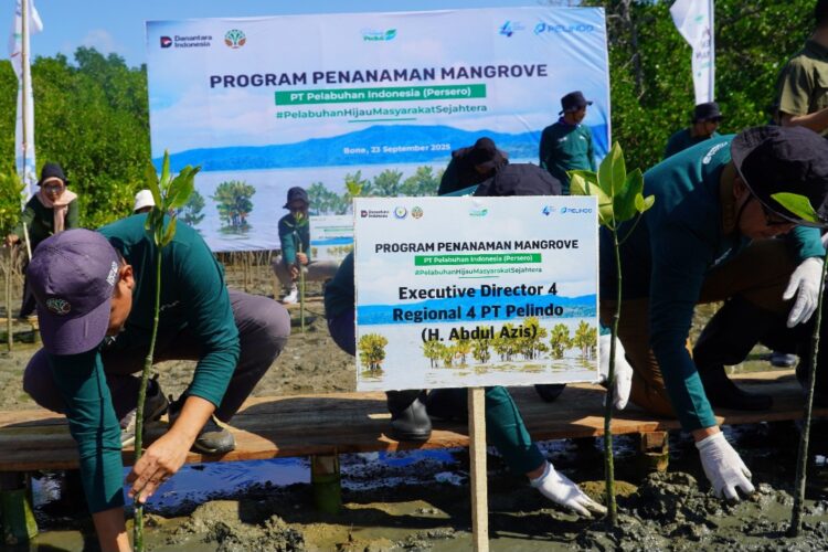 Peringati Hari Maritim Nasional 2025, Pelindo Regional 4 Kick Off Rehabilitasi Mangrove di Bone