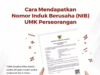DPM-PTSP Makassar Berikan Panduan Membuat NIB UMK Perseorangan