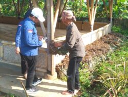 Fakta Baru Dugaan Korupsi Bibit Nanas Ditemukan di Subang