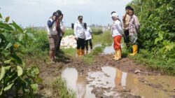 Pemkot Makassar Siapkan Anggaran Rp4 Miliar untuk Pembangunan Jalan di Romang Tangayya di 2026