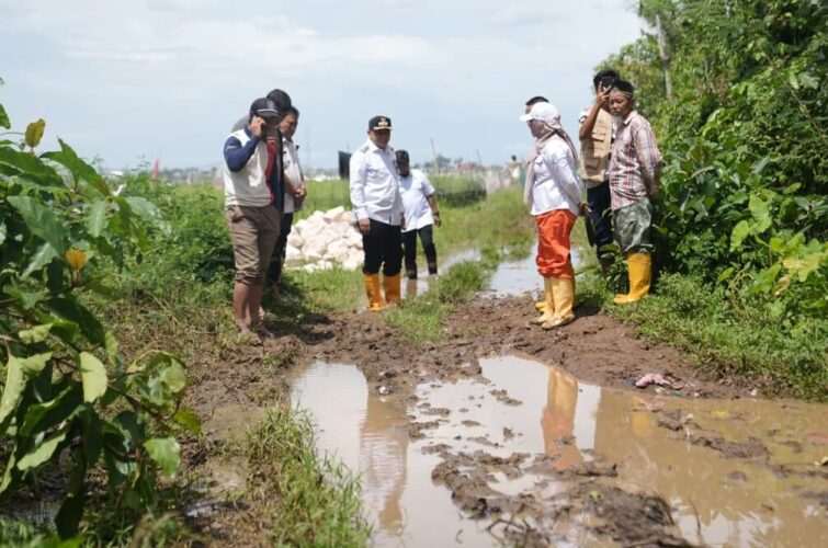 Pemkot Makassar Siapkan Anggaran Rp4 Miliar untuk Pembangunan Jalan di Romang Tangayya di 2026