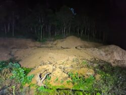 16 Ribu Hektare Kawasan Hutan di Gowa Dilepas Statusnya, FKH: Hilang Karena Kebijakan