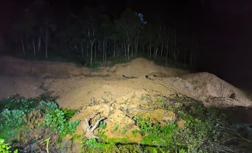 16 Ribu Hektare Kawasan Hutan di Gowa Dilepas Statusnya, FKH: Hilang Karena Kebijakan