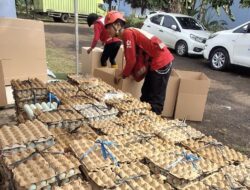PMI Kirim Telur Asin untuk Pengungsi Korban Banjir di Sumatera dan Aceh