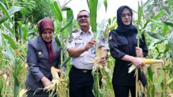 Aliyah Mustika Ilham Ikut Panen Raya di Lapas Kelas I Makassar