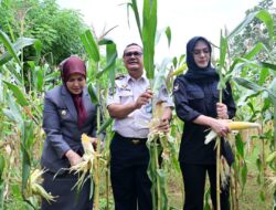 Aliyah Mustika Ilham Ikut Panen Raya di Lapas Kelas I Makassar