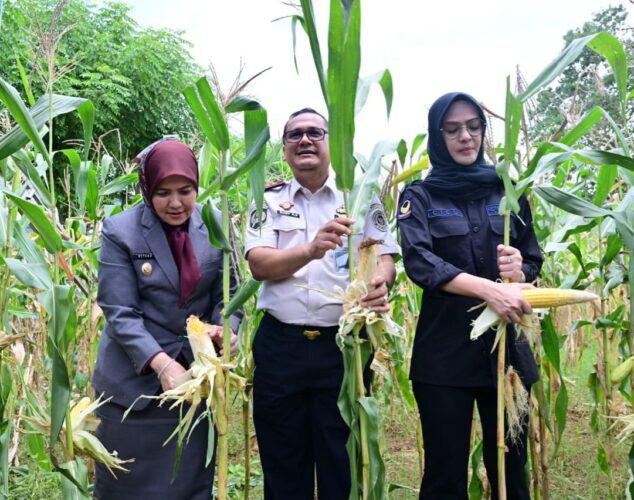 Aliyah Mustika Ilham Ikut Panen Raya di Lapas Kelas I Makassar