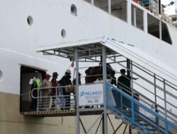 Kinerja Operasional Pelindo Regional 4 Tumbuh Positif Sepanjang 2025