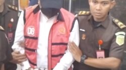 Eks Pj Gubernur Sulsel Ditetapkan Tersangka Dugaan Korupsi Bibit Nanas, Kerugian Ditaksir Rp50 Miliar