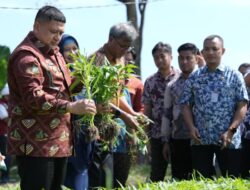 Appi Pastikan Urban Farming Jadi Prioritas di Semua Kecamatan