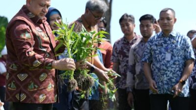 Appi Pastikan Urban Farming Jadi Prioritas di Semua Kecamatan
