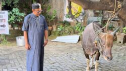 Maknai Idul Adha, Ajid Said Berkurban Satu Sapi