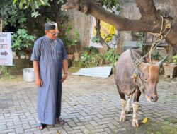 Maknai Idul Adha, Ajid Said Berkurban Satu Sapi