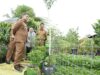 Urban Farming Jadi Andalan Perkuat Ketahanan Pangan