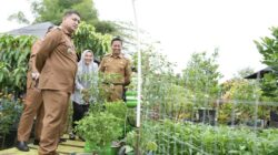 Urban Farming Jadi Andalan Perkuat Ketahanan Pangan