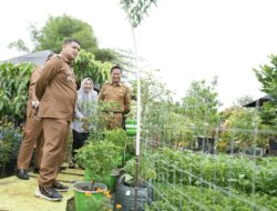 Urban Farming Jadi Andalan Perkuat Ketahanan Pangan