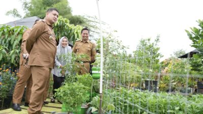 Urban Farming Jadi Andalan Perkuat Ketahanan Pangan