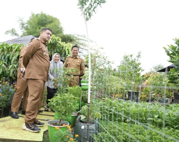 Urban Farming Jadi Andalan Perkuat Ketahanan Pangan