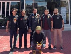 Terduga Pelaku Penipuan Mobil Bodong di Makassar Ditangkap di Halmahera