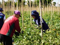 Pelindo Semai Harapan di Langowan melalui Relawan Bakti BUMN Batch IX