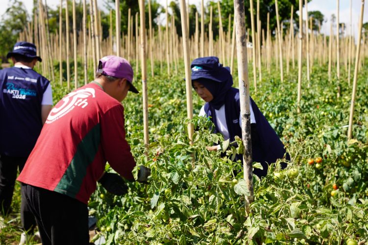 Pelindo Semai Harapan di Langowan melalui Relawan Bakti BUMN Batch IX